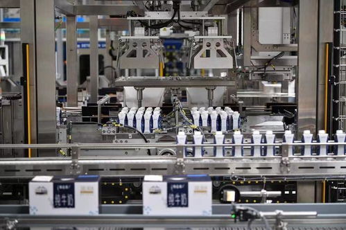 同心筑夢攜手開新篇 寧夏用心用情用力作好產業轉移發展對接大文章